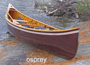 osprey